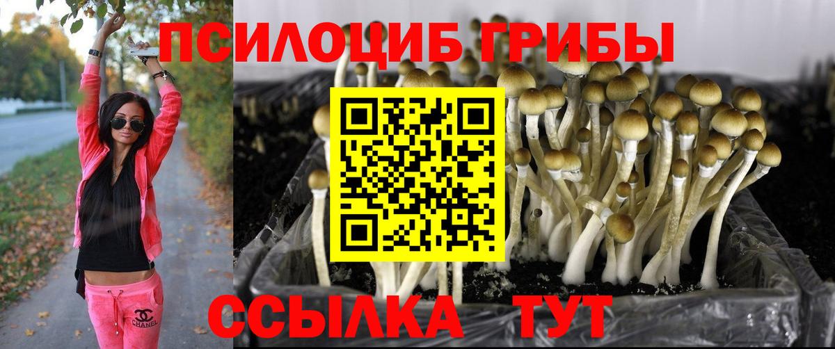 Псилоцибиновые грибы мицелий  Вход с VPN  Дальнереченск  Псилоцибиновые грибы мухоморы 