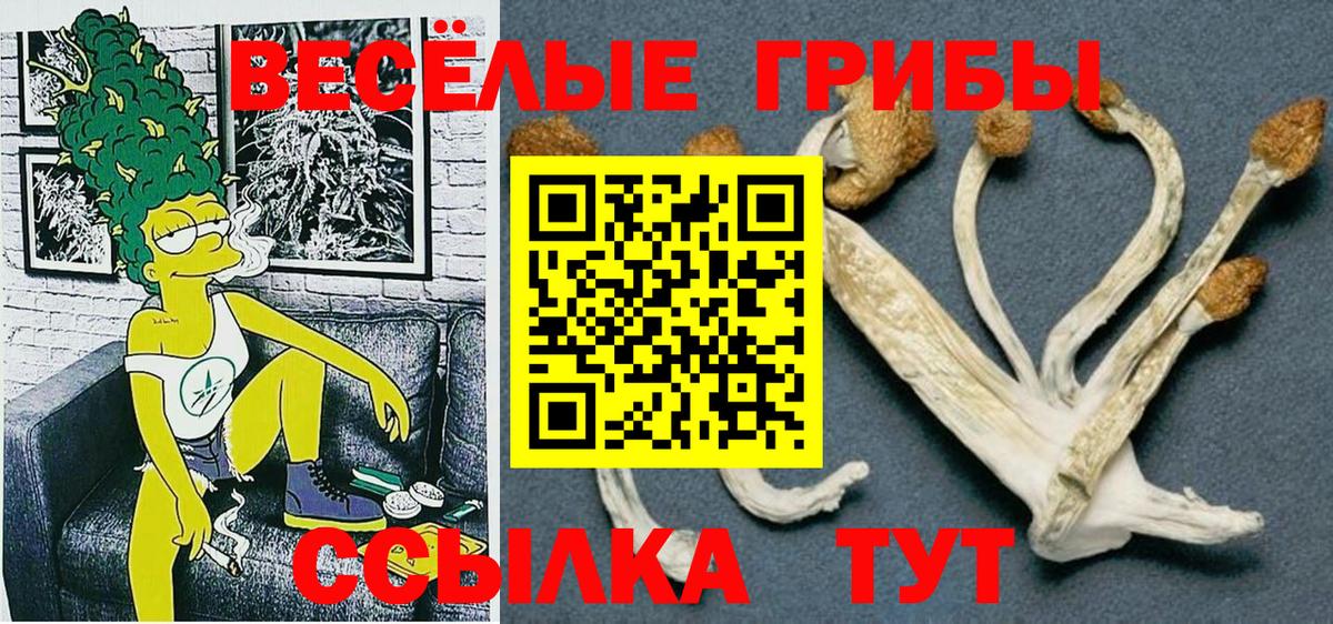 Псилоцибиновые грибы прущие грибы Дальнереченск